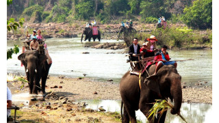 Lên Tây Nguyên mùa “con ong đi lấy mật”